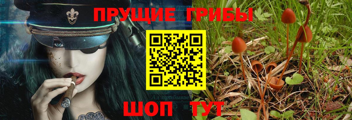 Галлюциногенные грибы Cubensis Валуйки